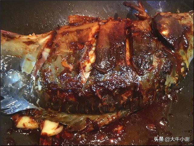 高原裸鯉怎麼做好吃（介紹一下鏡鯉是什麼魚）7