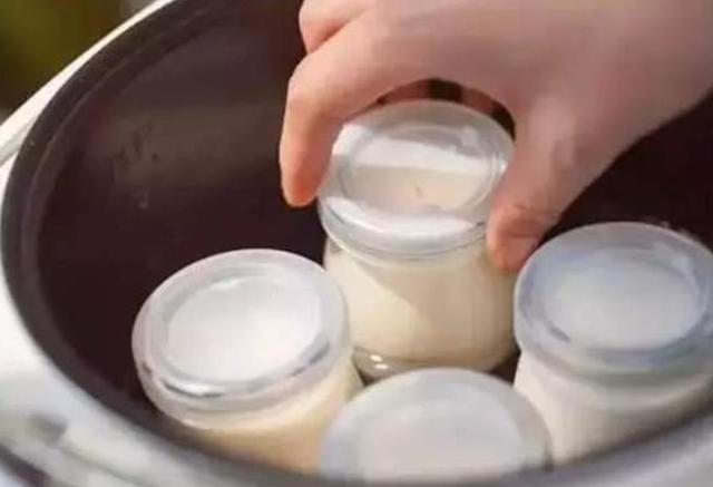 牛奶直接放電飯鍋可以做酸奶嗎（牛奶喝不完别浪費）4
