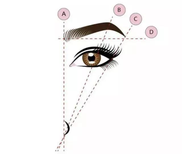 哪種眉形适合自己臉型（換眉形整容你的臉型到底适合哪種眉形）17