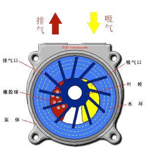 常用泵的種類和工作原理（各類泵的工作原理）4