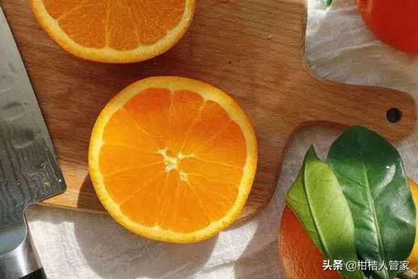 倫晚臍橙适合在什麼緯度種植（倫晚臍橙适合什麼氣候種植）2