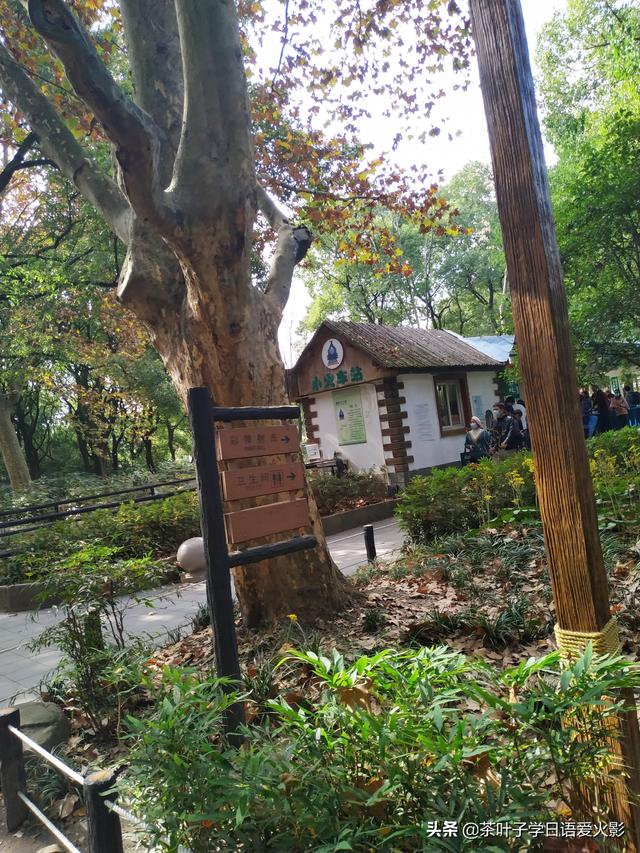 上海共青森林公園有什麼項目玩（強烈推薦-上海共青國家森林公園-超級适合散心遊玩以及睡覺）16