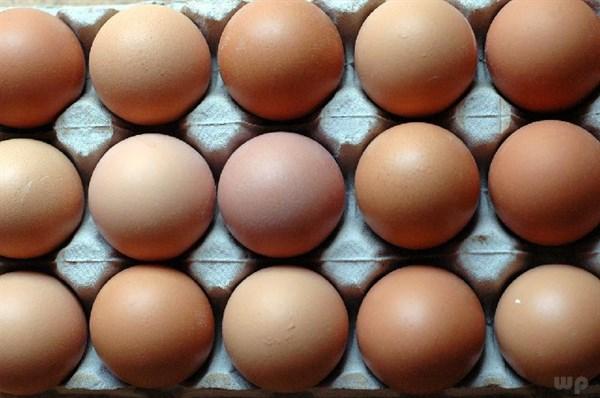 膽固醇高的病人可吃雞蛋嗎（膽固醇高了不能吃雞蛋）2
