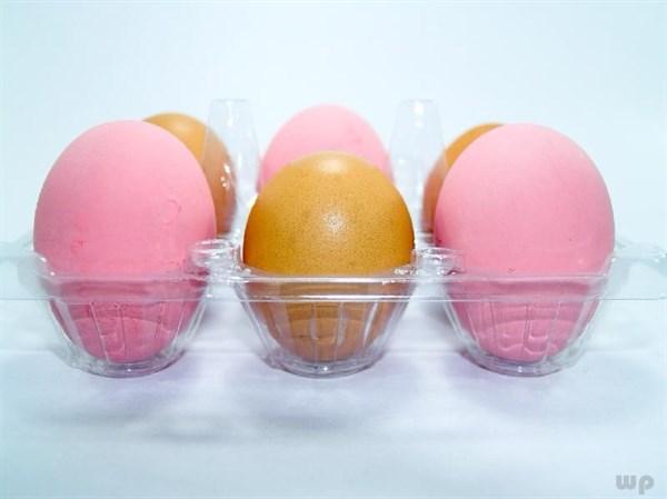 膽固醇高的病人可吃雞蛋嗎（膽固醇高了不能吃雞蛋）1