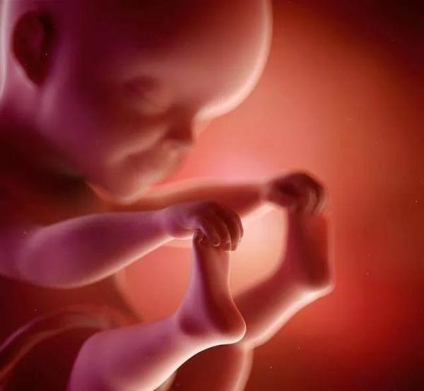 孕媽早期是怎麼發現胎動的（出現這樣的胎動可能是胎寶寶在求救）6