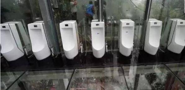 你見過的最奇葩的廁所有幾個（全球前十設計奇葩的廁所）1