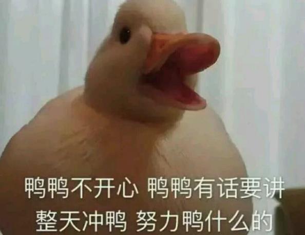biu表情包什麼意思（duck不必什麼意思什麼梗）2