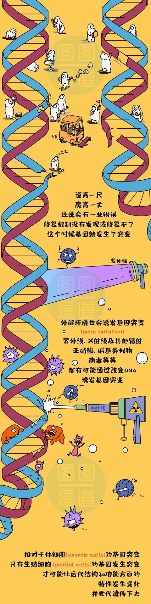 十種基因突變引起的超能力（真的可以讓人擁有超能力和高顔值嗎）3