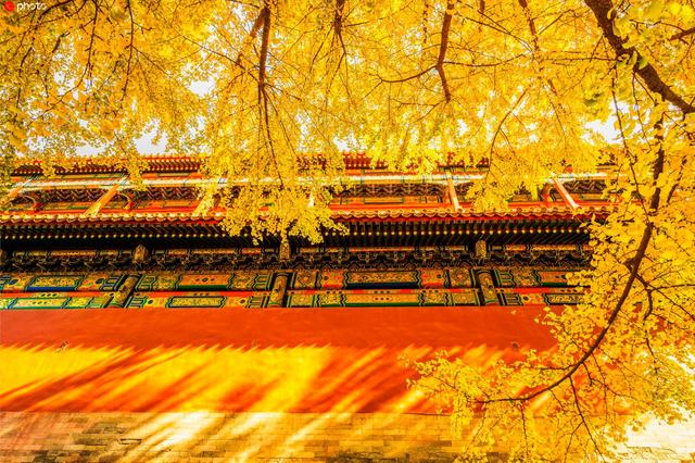 北京故宮的秋景（上新啦有一種美）2