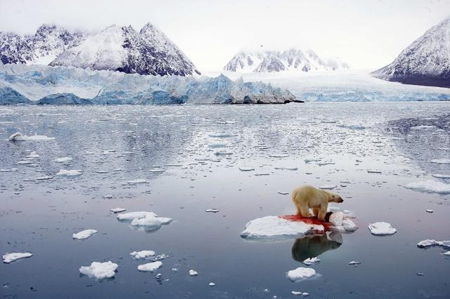 冰川面積擴大海平面下降（每年近2700億噸冰消失）1