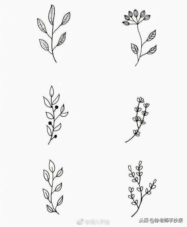 關于植物的手抄報簡單又漂亮（54種小植物手抄報花邊素材）3