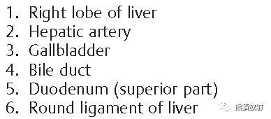 肝總管ct解剖位置（收藏上腹部CT斷層）22