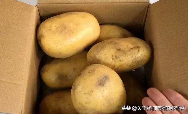 農村大量土豆怎麼保存不發芽（學學農村的土方法）6
