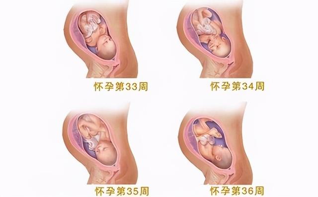 孕晚期吃什麼促進胎兒發育（胎兒在孕晚期發育最快）2