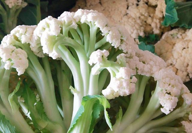 綠色的西蘭花和白色花菜哪個好（為何價格相差好幾倍）4