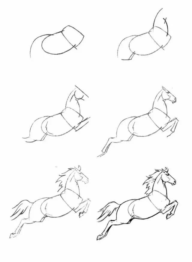 怎麼畫馬最簡單最好看帥氣（幹貨不會畫馬教你40種馬的結構畫法）4