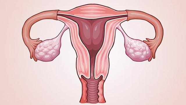 備孕幾個月沒懷上要檢查輸卵管嗎（要不要檢查排卵跟輸卵管）2
