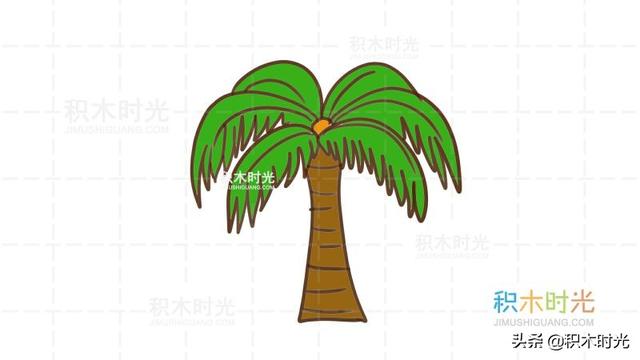 手繪簡筆畫椰子樹（椰子樹掌簡筆畫教程）6
