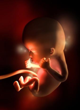 懷孕3個月胎兒發育各項指标（懷孕3個月胎兒成形了嗎）1