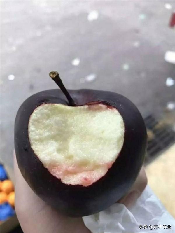 透明的蘋果有哪些（蘋果之中有黑色蘋果嗎）1