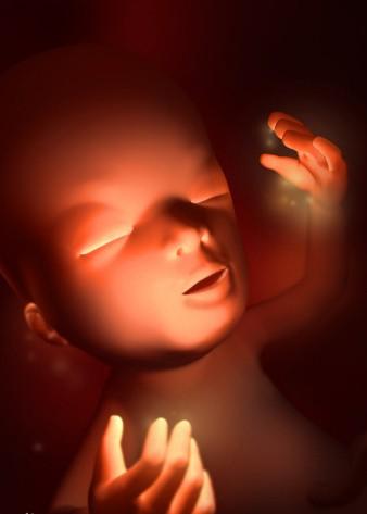 懷孕3個月胎兒發育各項指标（懷孕3個月胎兒成形了嗎）2