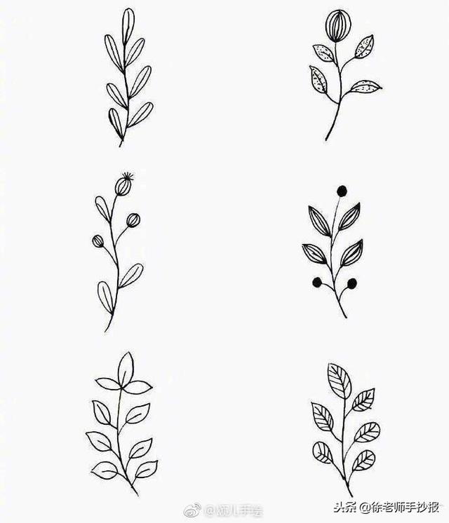 關于植物的手抄報簡單又漂亮（54種小植物手抄報花邊素材）5