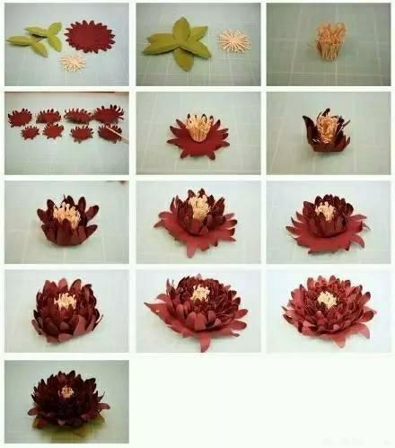 紙花制作方法簡單漂亮（一樣可以那麼美）10