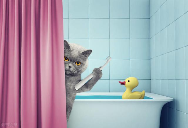 如何給貓洗澡才不會發臭（貓自己會清理毛發）2