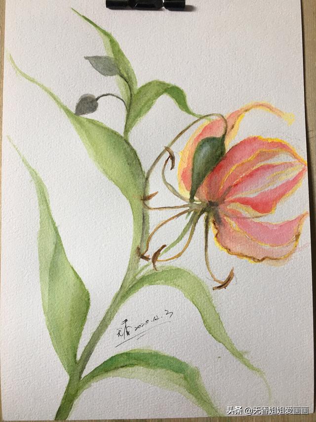 最簡單的蘭花畫法（手繪奇特美麗的嘉蘭花）9