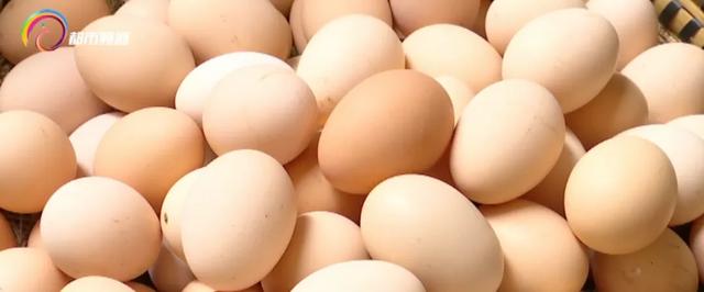 土雞蛋和普通的雞蛋有啥區别嗎（土雞蛋真的比洋雞蛋）9