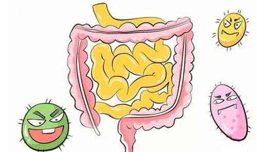 腸胃疾病可以通過糞便檢查嗎（不要忽視便便給你的信号）3