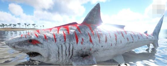 方舟生存進化之大型巨齒鲨（巨齒鲨滄龍電鳗全出沒）1