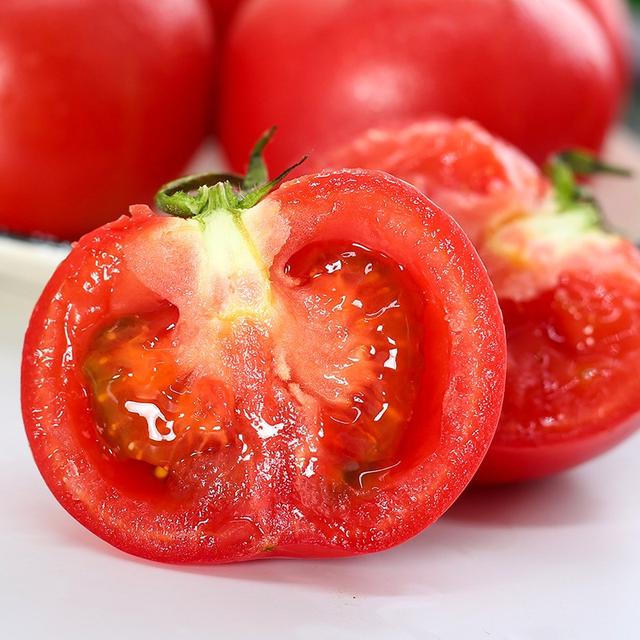 不用大棚種植的優質番茄品種（這個番茄品種糖度高）5