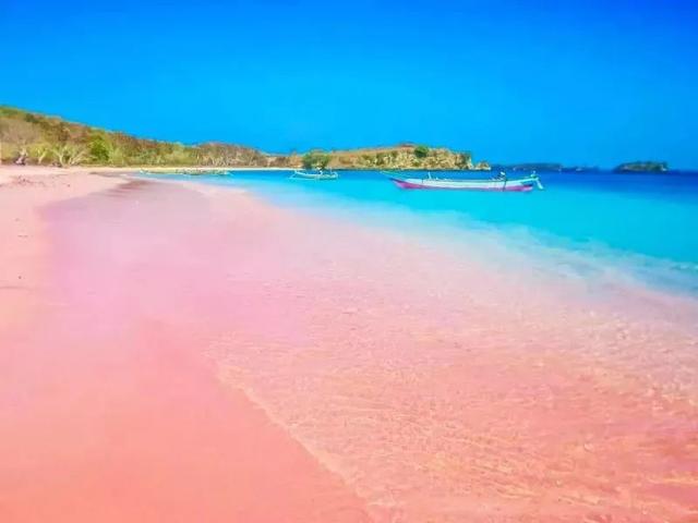 25個全世界公認的沙灘（揭秘浪漫的粉色沙灘）2
