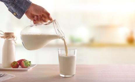 牛奶補鈣效果為什麼比較好（牛奶真的能補鈣嗎）3