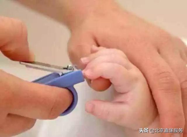 需要給六個月的寶寶修剪指甲嗎（12個月寶寶怎麼養）2