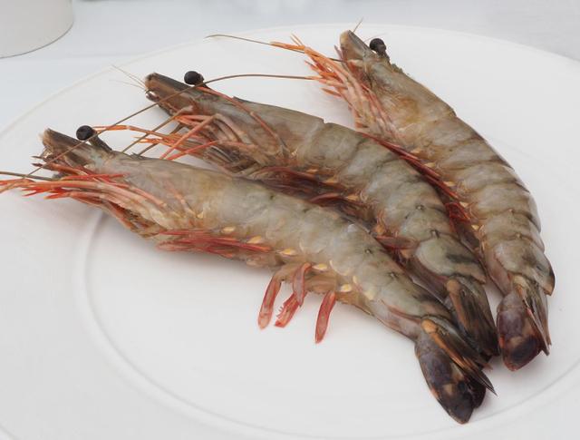 養殖蝦和野生蝦的蝦線有什麼區别