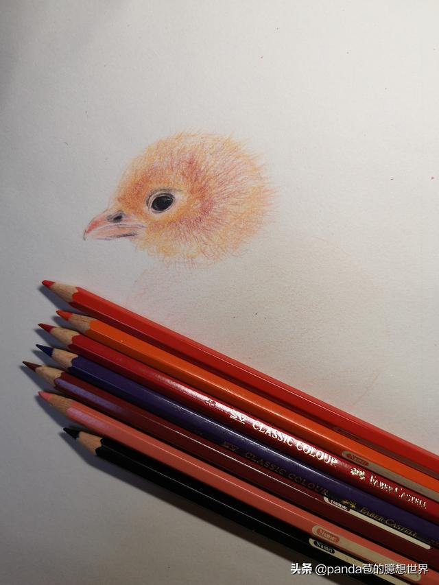 簡單的畫畫教程小雞（簡單幾步教畫畫）3