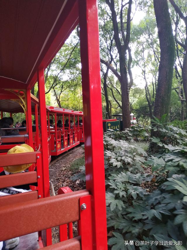 上海共青森林公園有什麼項目玩（強烈推薦-上海共青國家森林公園-超級适合散心遊玩以及睡覺）20