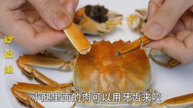 螃蟹不能吃的七大忌（螃蟹這4個部位千萬不能吃）7
