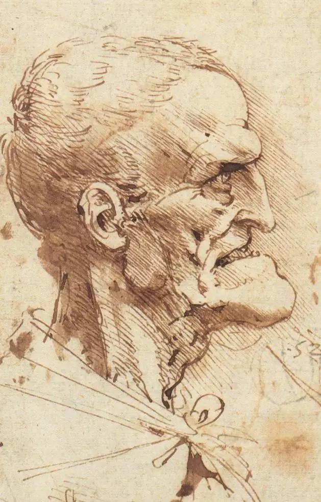 著名畫家達芬奇的個人資料（意大利畫家達芬奇）52