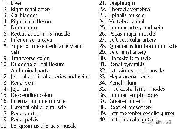 肝總管ct解剖位置（收藏上腹部CT斷層）41