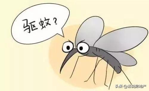 蚊子多用什麼辦法才能沒有蚊子（蚊子一個夏天不敢進房間）1