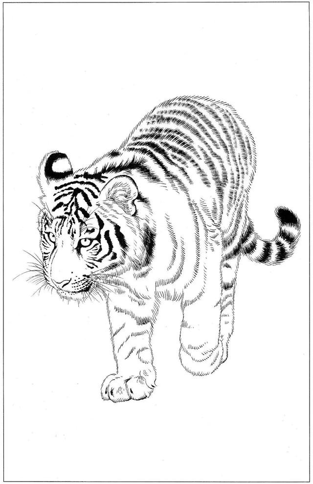 老虎卡通畫2022虎年（28張老虎黑白線描圖）1