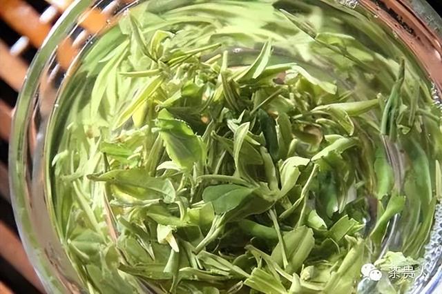 怎麼用蓋碗泡綠茶（不得不說蓋碗泡綠茶）8