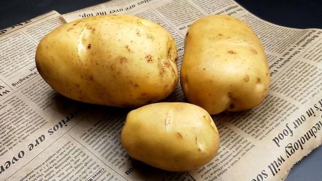 土豆越來越大和膨大劑有關系嗎（市場賣的土豆越來越大）4