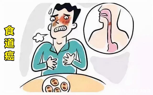 吃多長時間的燙食會得食管癌（經常吃過燙的食物）5