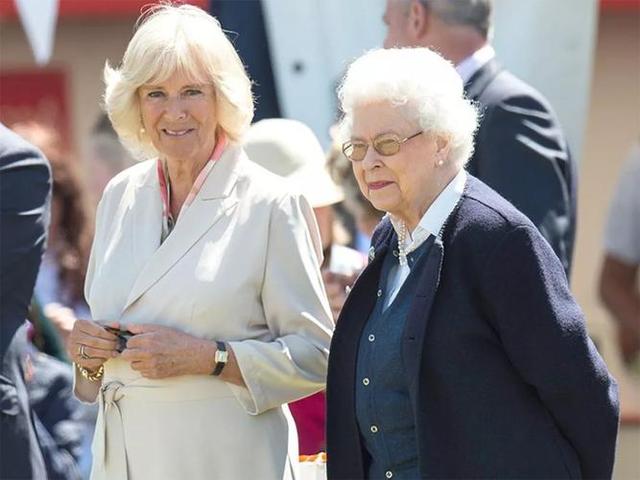 戴安娜和英國女王是什麼關系（96歲的英國女王依舊霸氣）4