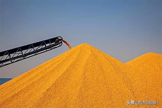 今年年底玉米價格是漲還是跌啊（跌勢放緩今天每噸玉米價格僅跌5元）1