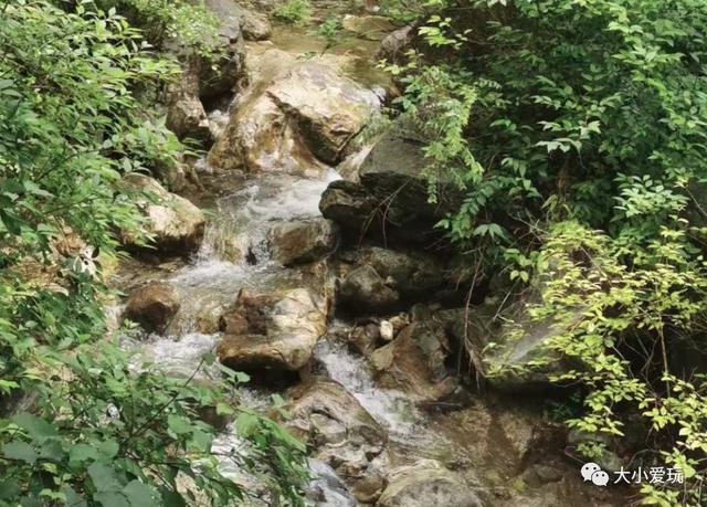 純天然溪水瀑布超級壯觀（潭瀑相連綠樹成蔭）6